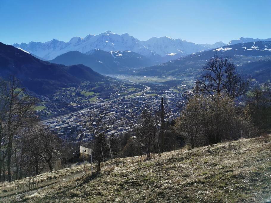Super Appartement Cocooning Vu Mont Blanc Sallanches Exteriör bild