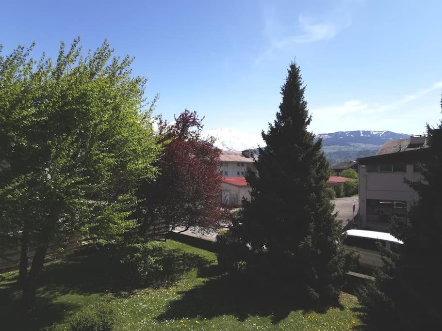 Super Appartement Cocooning Vu Mont Blanc Sallanches Exteriör bild