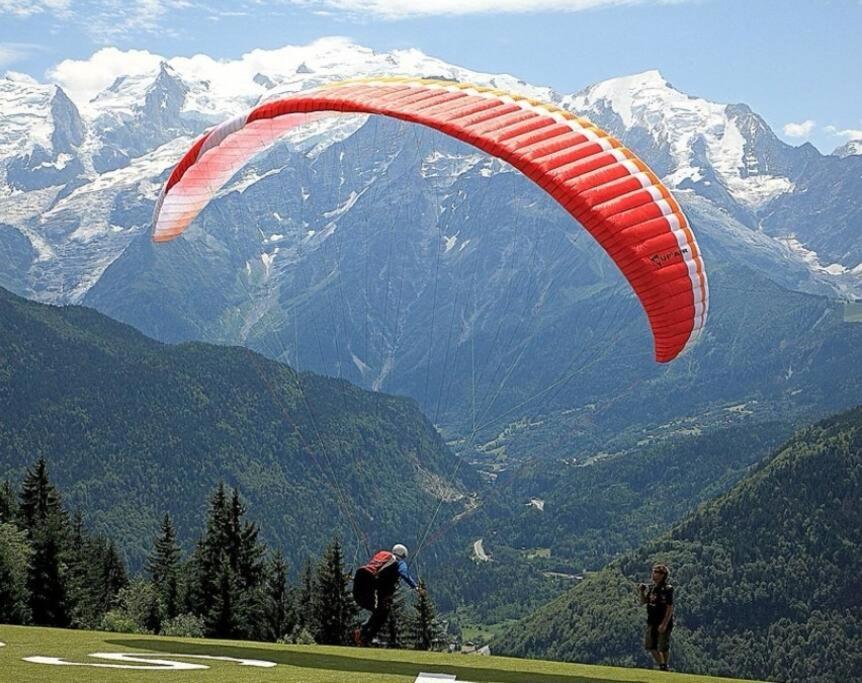 Super Appartement Cocooning Vu Mont Blanc Sallanches Exteriör bild